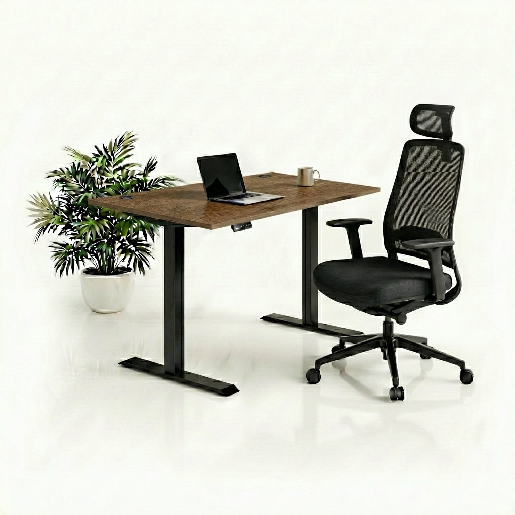 Ergo Plus Комплект