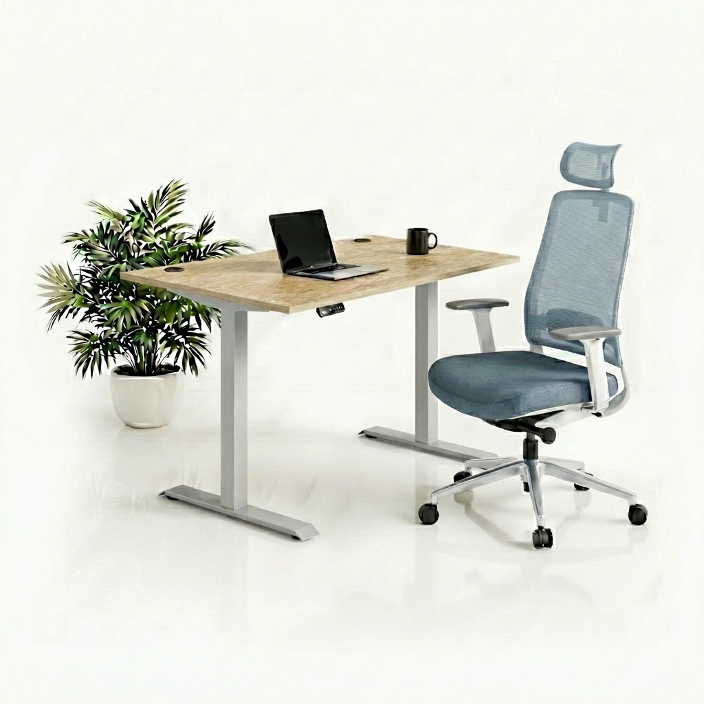 Ergo Plus Комплект