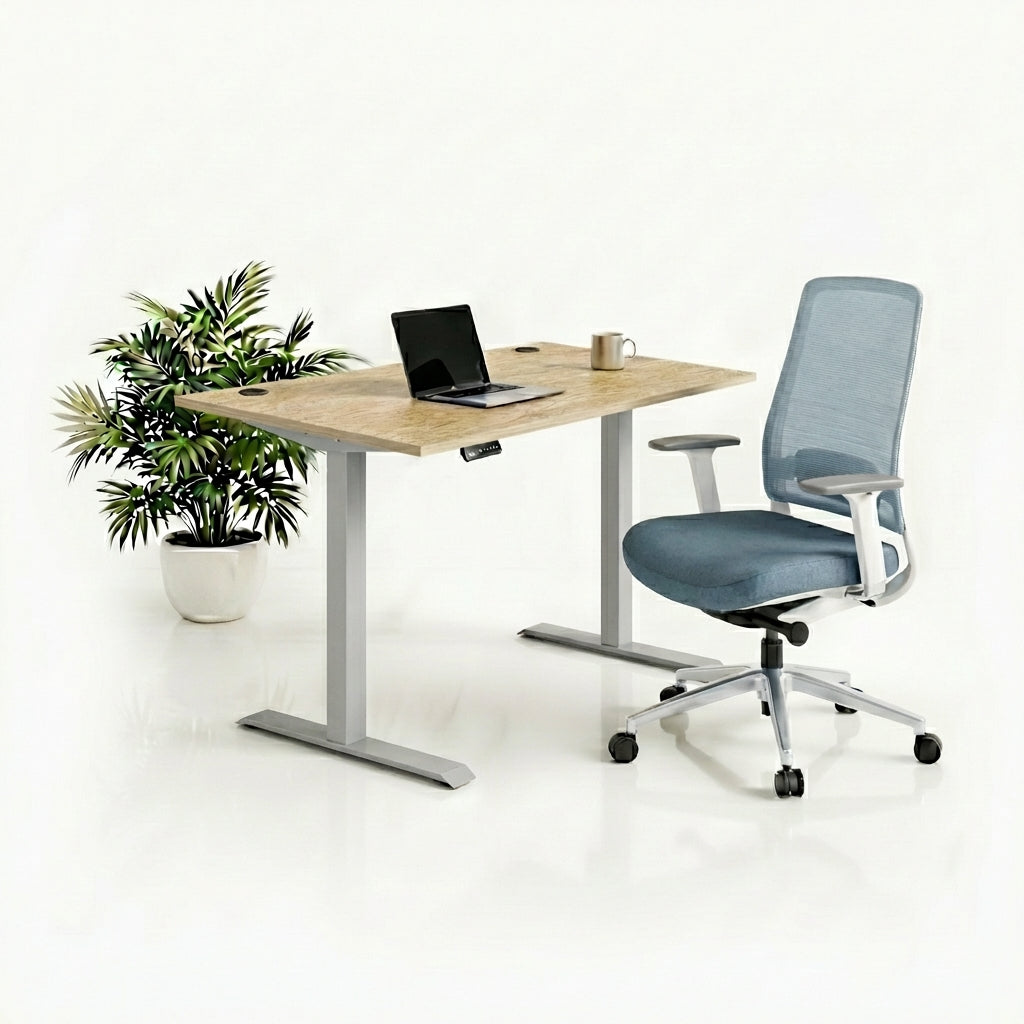 Ergo Plus Комплект