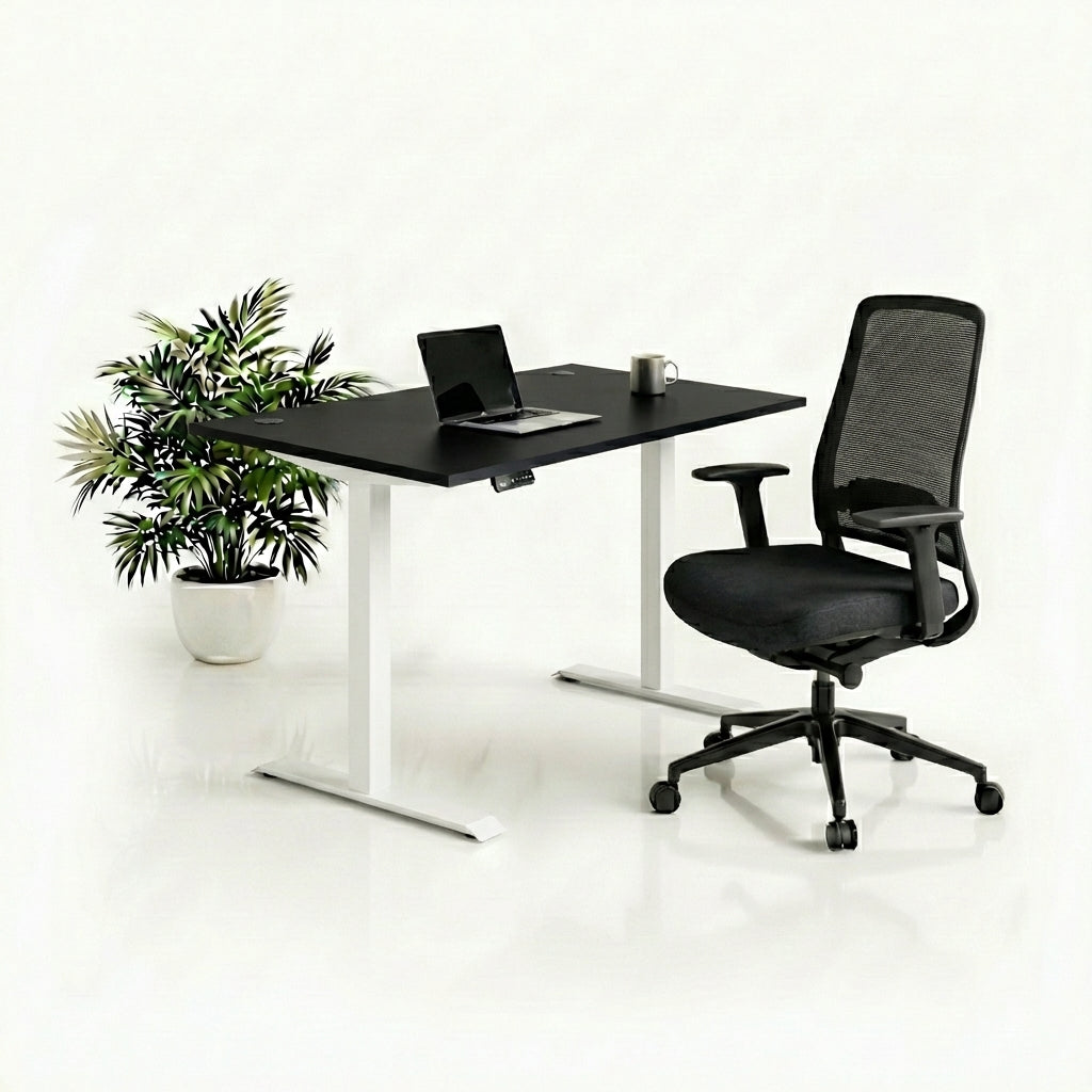 Ergo Plus Комплект