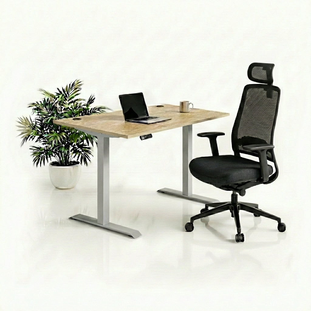 Ergo Plus Комплект