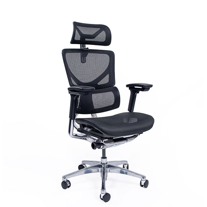 Ергономичен стол ErgoPro Ultra