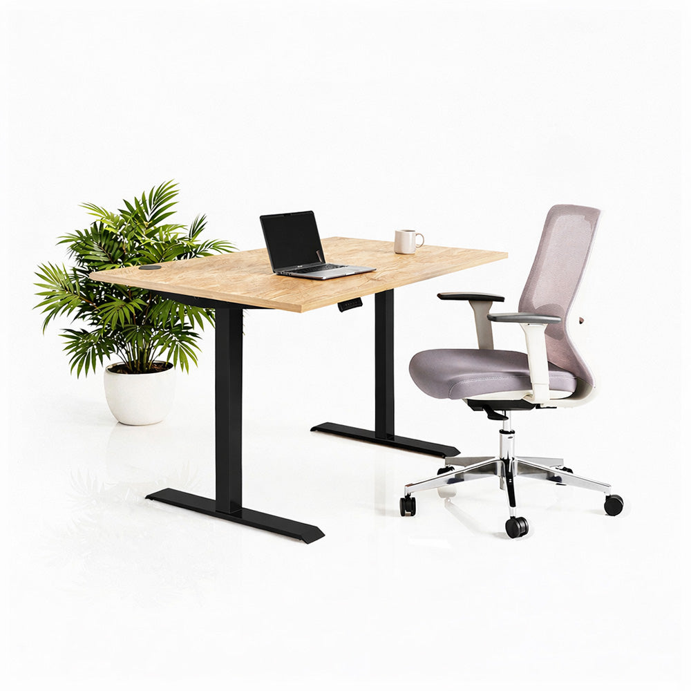 Ергономичен стол ChairPro Nexus Edition (Цвят): Светло Сив | Височинно регулируемо бюро Ergo Desk Pro (Цвят на основата): Черен | Цвят на плота: Дъб Небраска натур