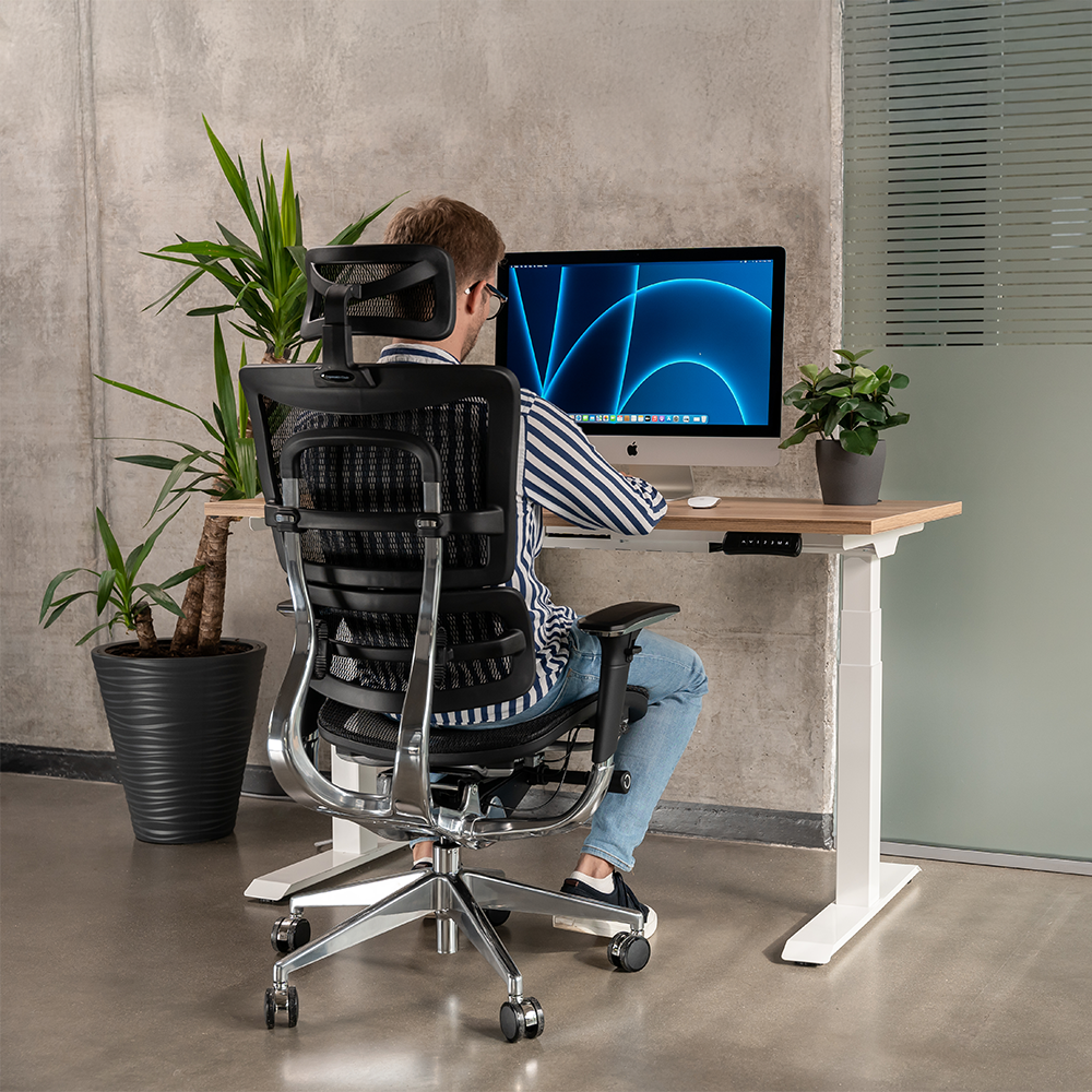 Височинно регулируемо бюро Ergo Desk Pro