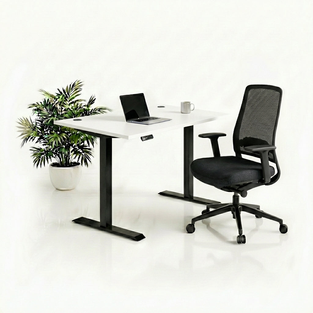 Ergo Plus Комплект