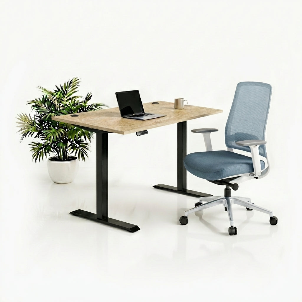 Ergo Plus Комплект