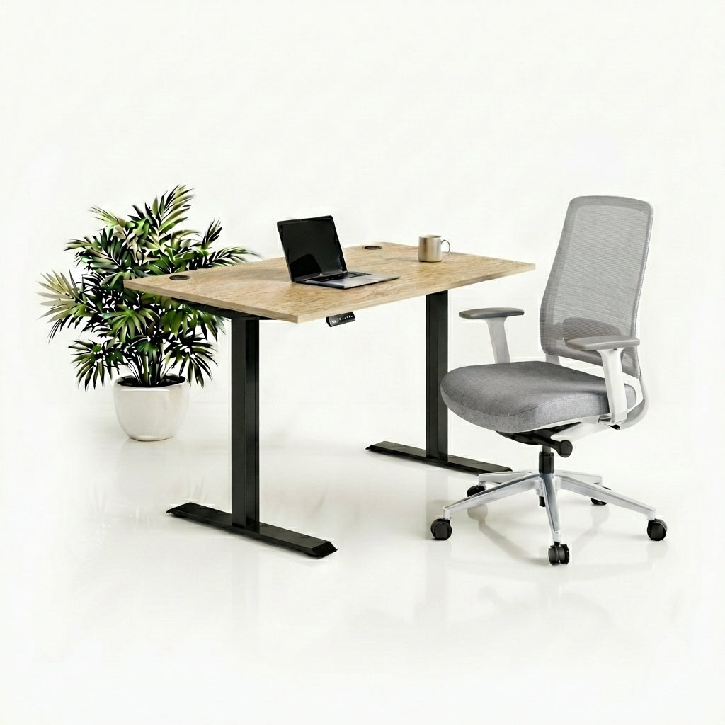 Ergo Plus Комплект