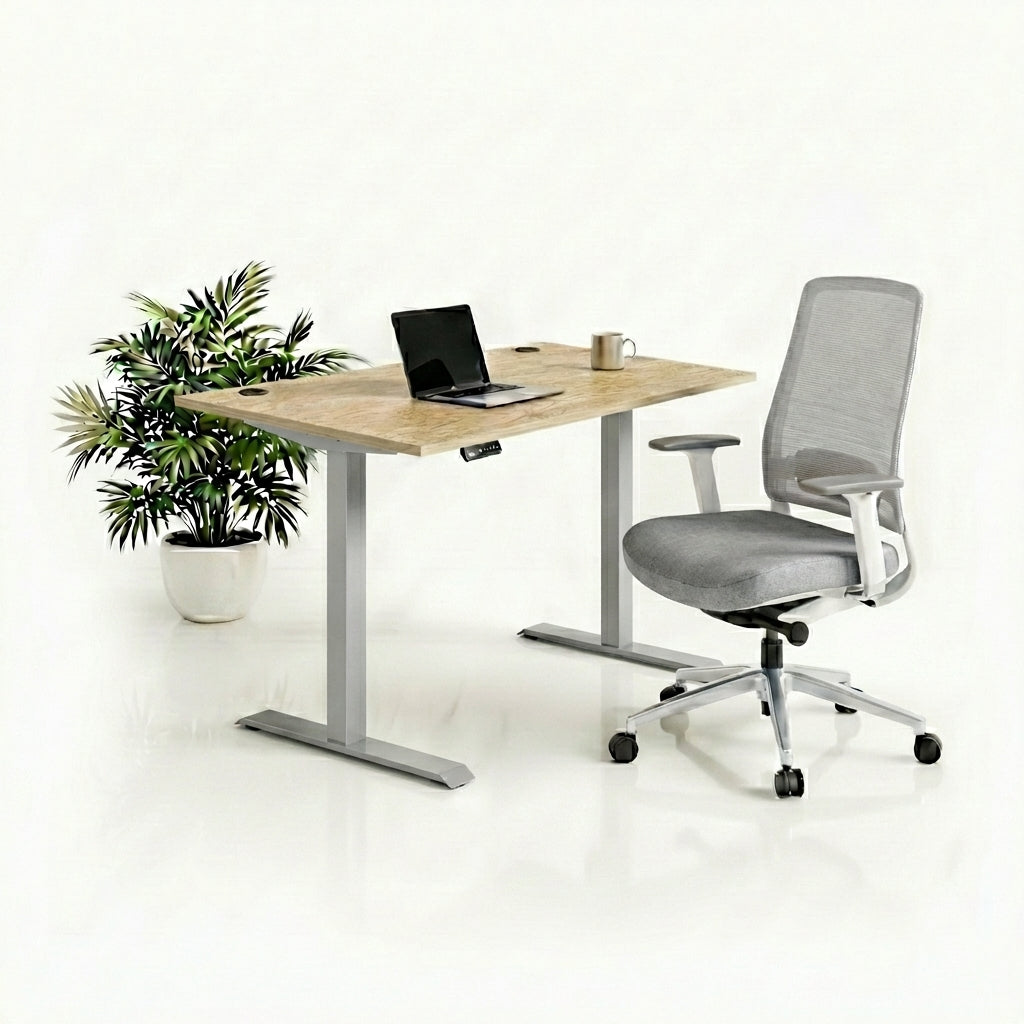 Ergo Plus Комплект