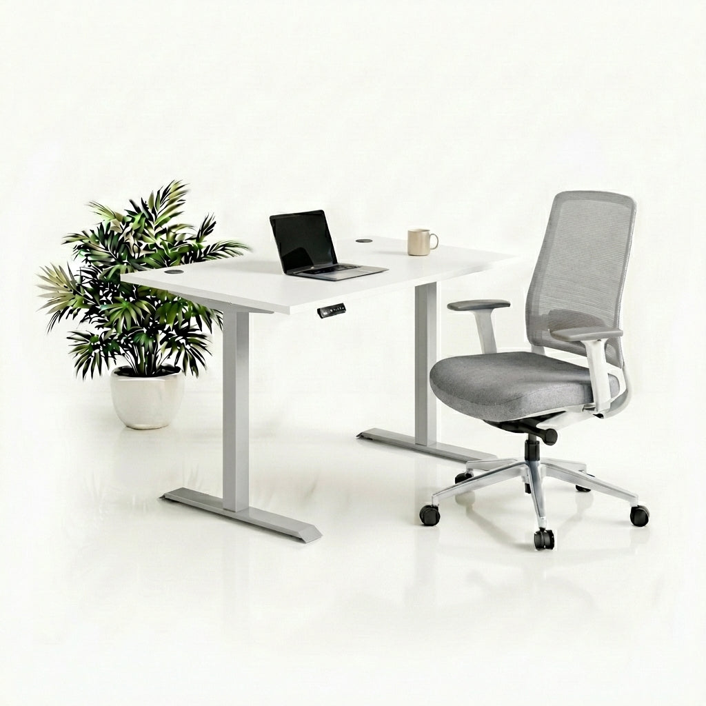 Ergo Plus Комплект