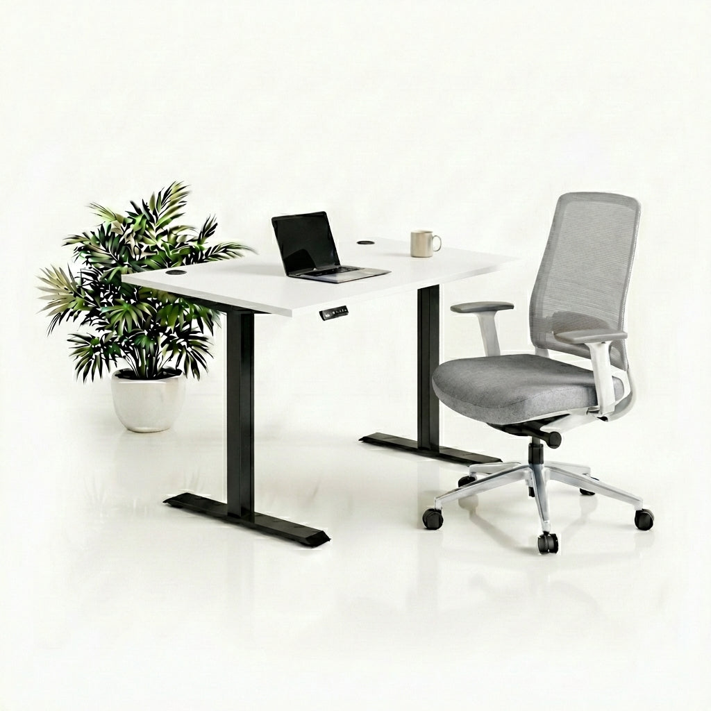 Ergo Plus Комплект