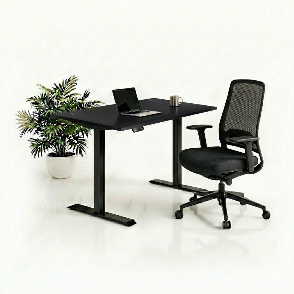 Ergo Plus Комплект