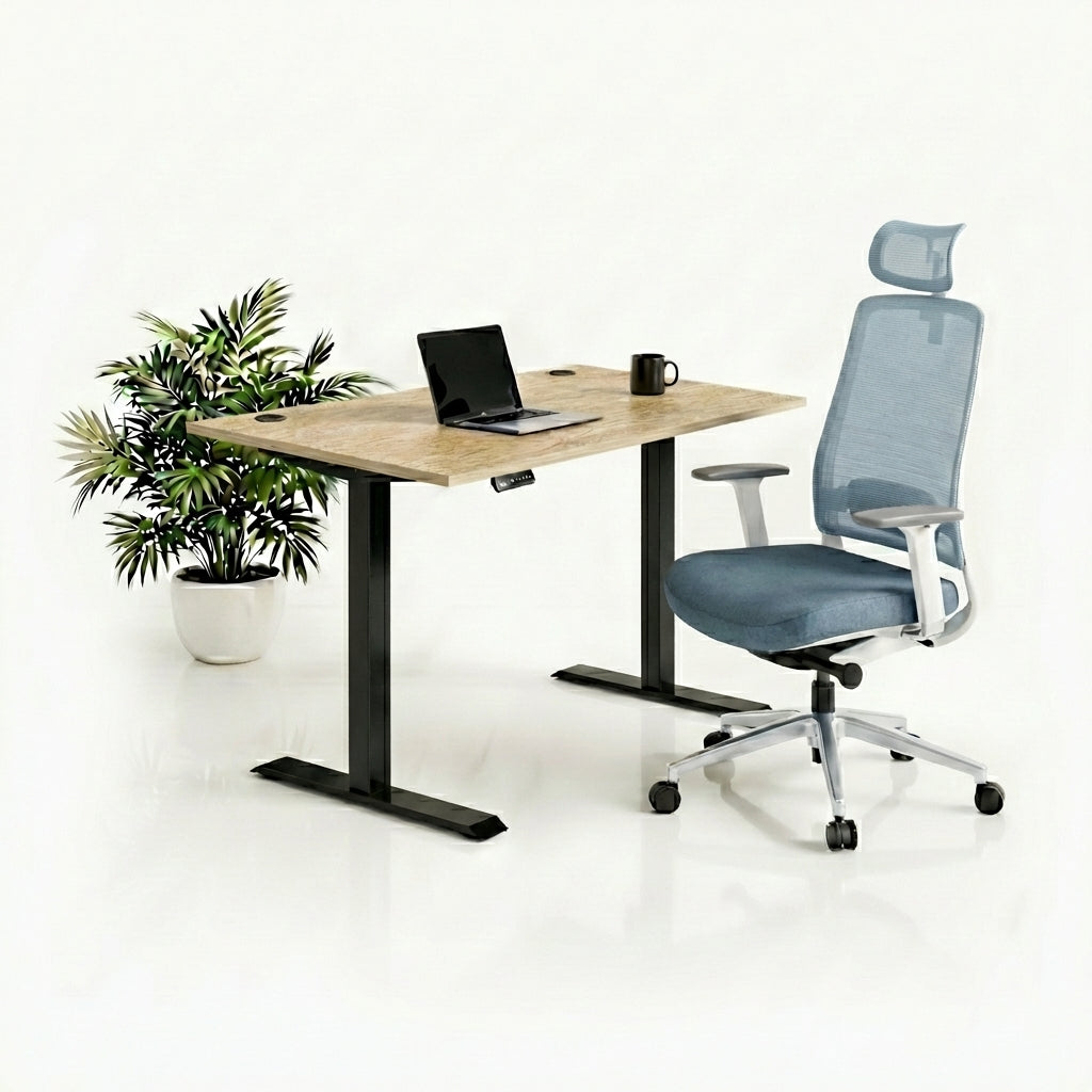 Ergo Plus Комплект