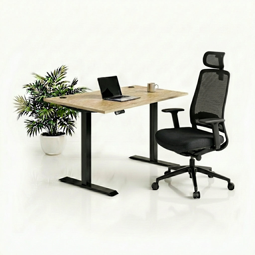 Ergo Plus Комплект