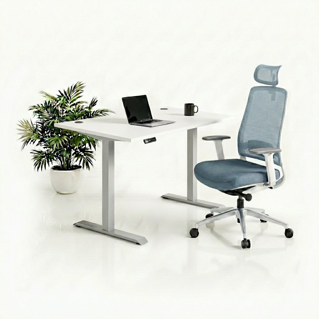 Ergo Plus Комплект