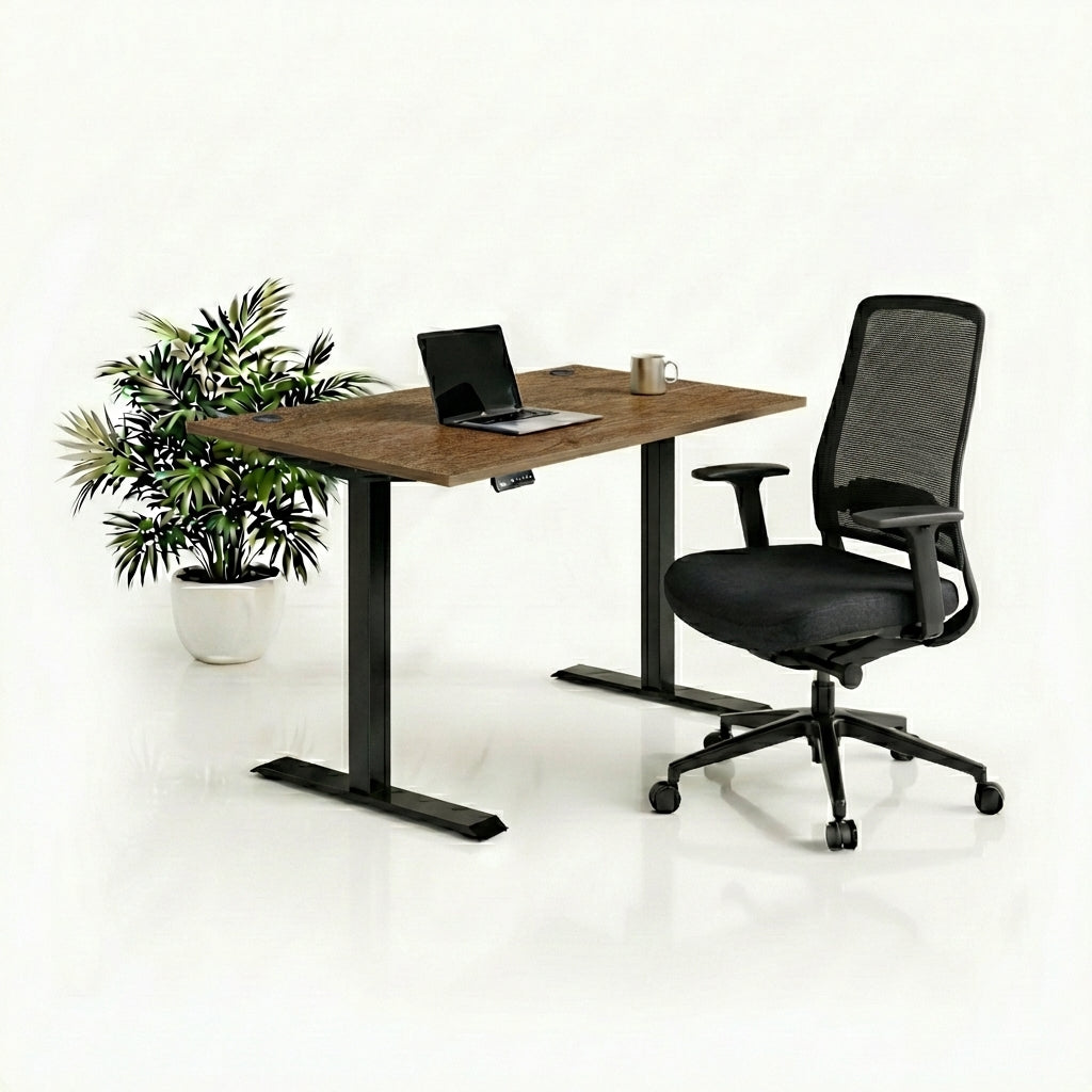 Ergo Plus Комплект