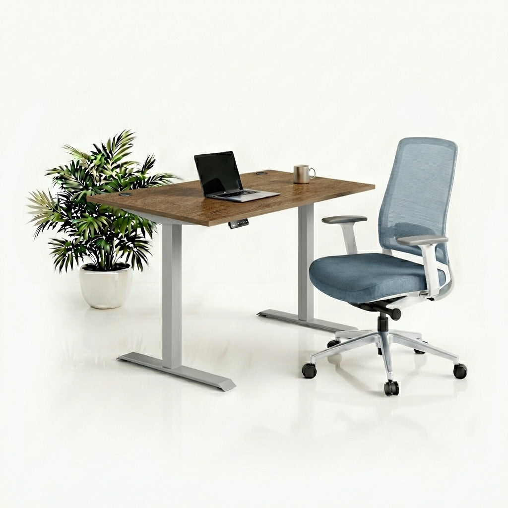 Ergo Plus Комплект