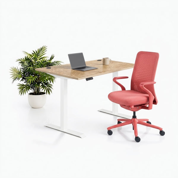 Комплект Ergo Design