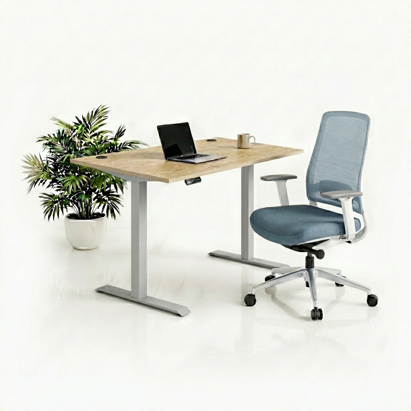 Ergo Plus Комплект