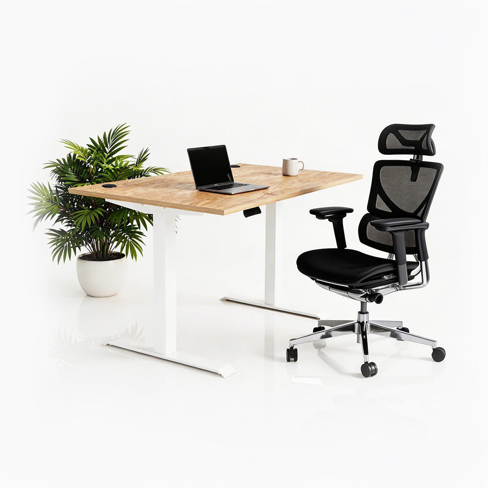 Ергономичен стол ErgoPro Ultra (Цвят): Черен | Височинно регулируемо бюро Ergo Desk Pro (Цвят на основата): Бял | Цвят на плота: Дъб Небраска натур