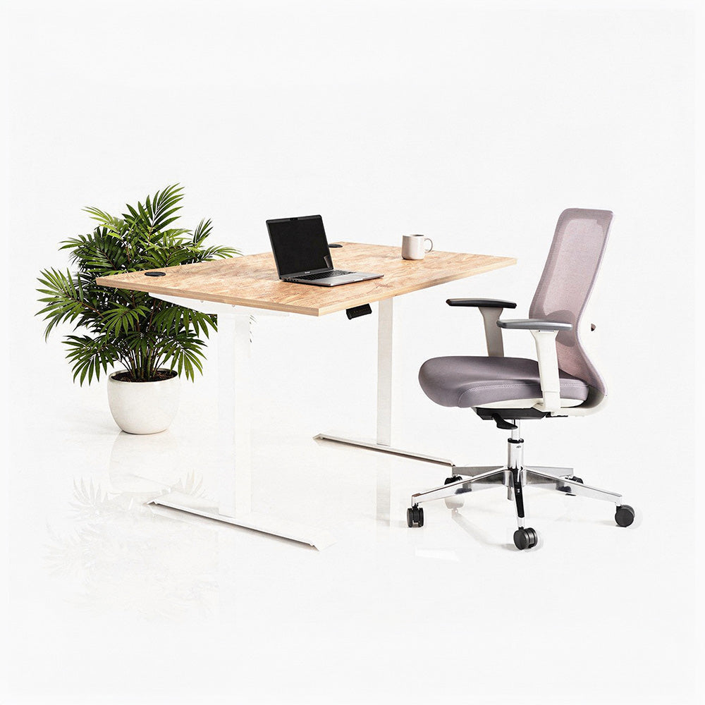 Ергономичен стол ChairPro Nexus Edition (Цвят): Светло Сив | Височинно регулируемо бюро Ergo Desk Pro (Цвят на основата): Бял | Цвят на плота: Дъб Небраска натур