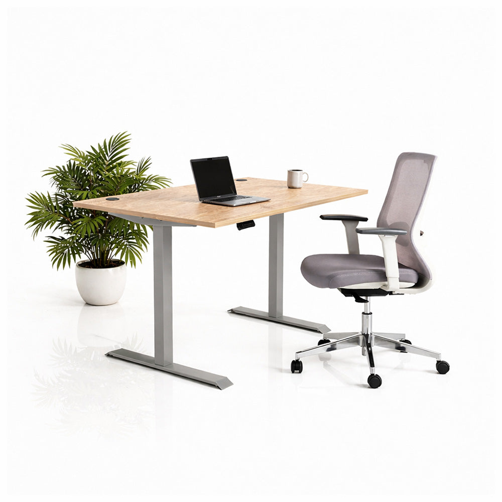 Ергономичен стол ChairPro Nexus Edition (Цвят): Светло Сив | Височинно регулируемо бюро Ergo Desk Pro (Цвят на основата): Сив | Цвят на плота: Дъб Небраска натур